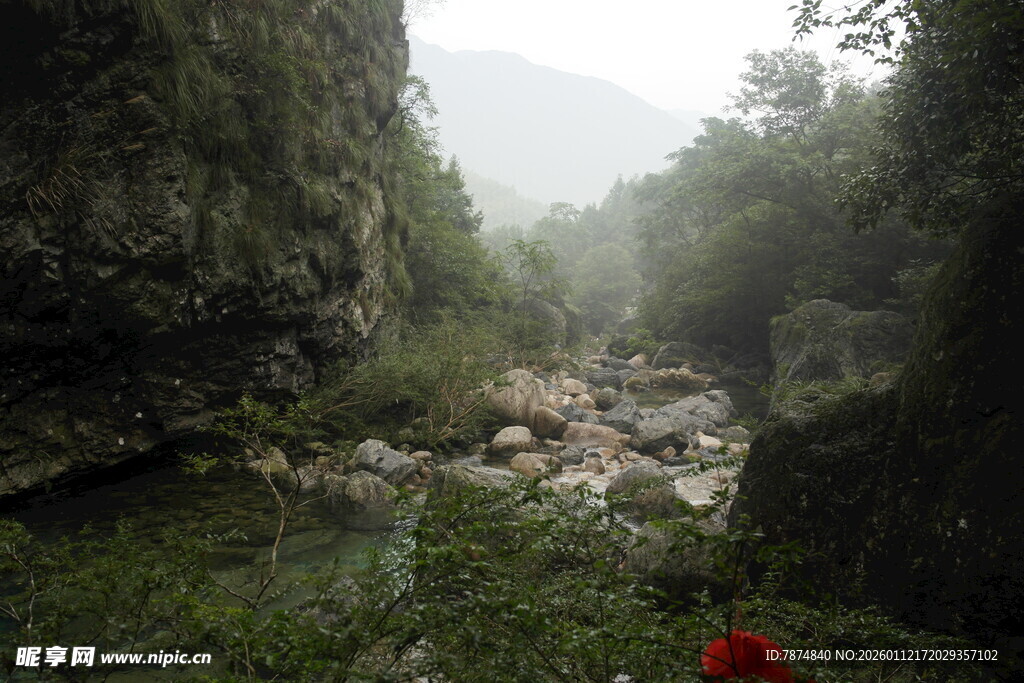 山间峡谷景色 绿意盎然
