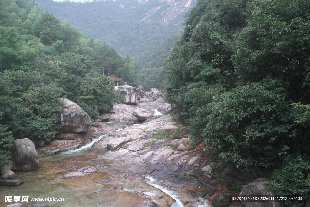 山间溪流 绿意盎然的景致