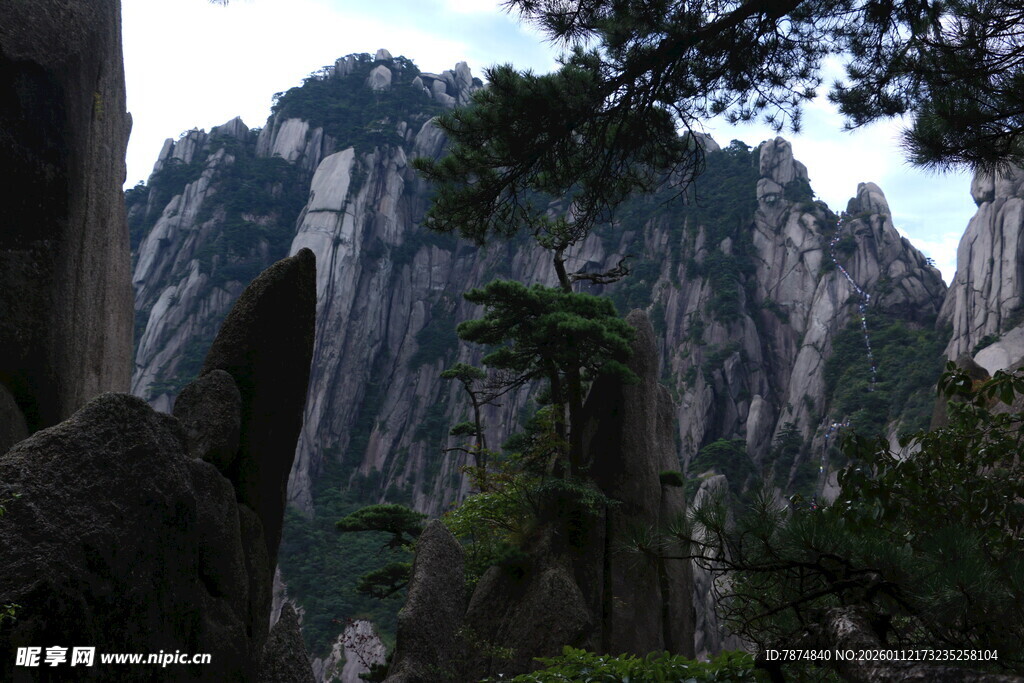 巍峨黄山奇峰与苍松