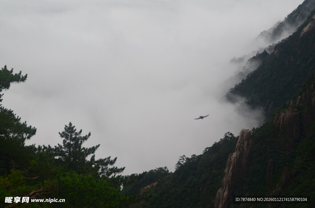 云雾缭绕的山间景致