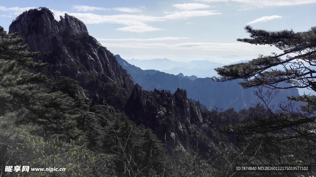 壮丽山景与挺拔树木