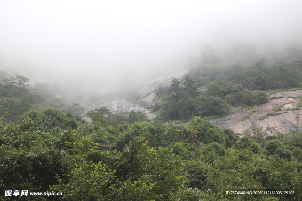 云雾缭绕的山林美景