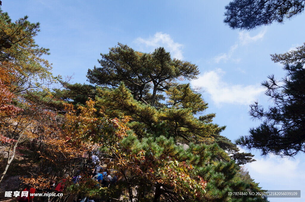秋日山林蓝天美景