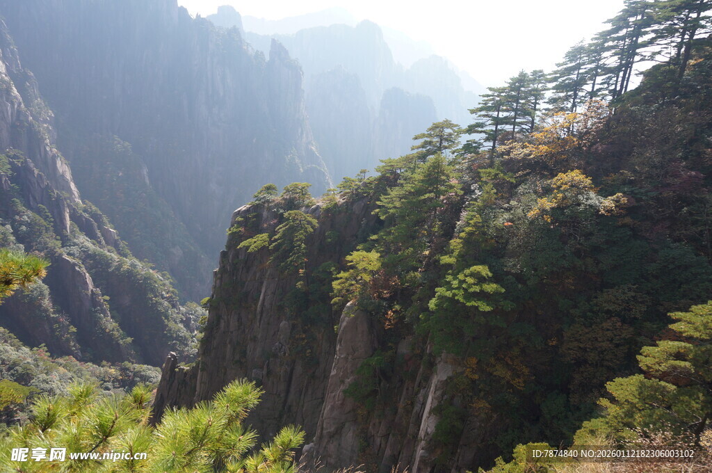 壮丽山景之奇峰绿植