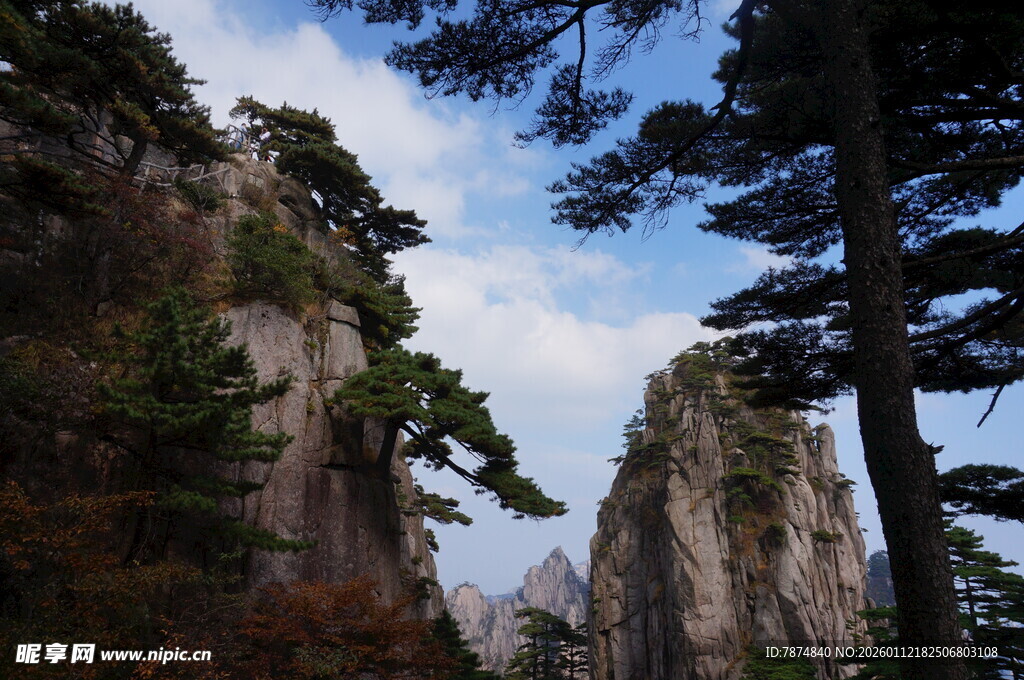 黄山奇峰与苍松美景