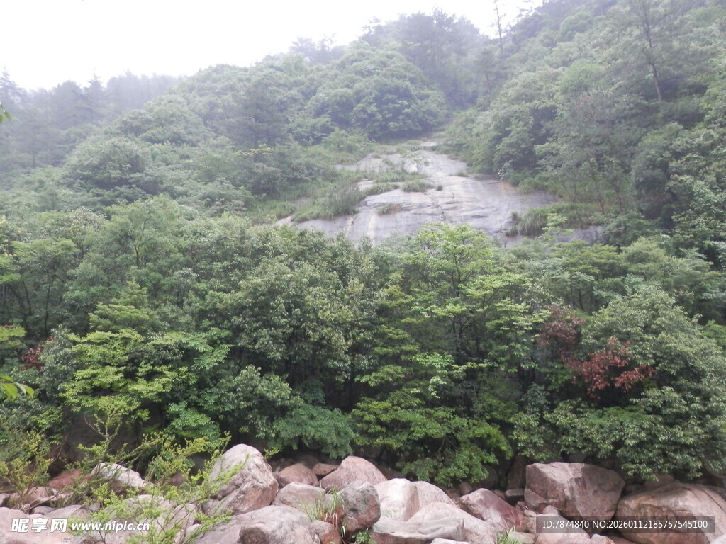 山间绿意盎然的自然景致