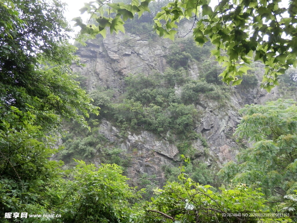 山林绿意盎然的自然景致