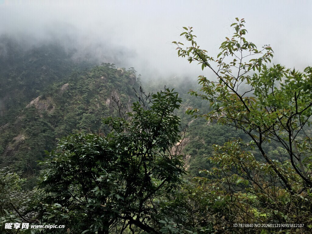 山间云雾缭绕的绿意景致