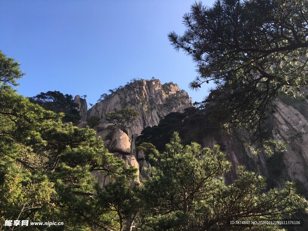 峻岭松影 山间壮美风光