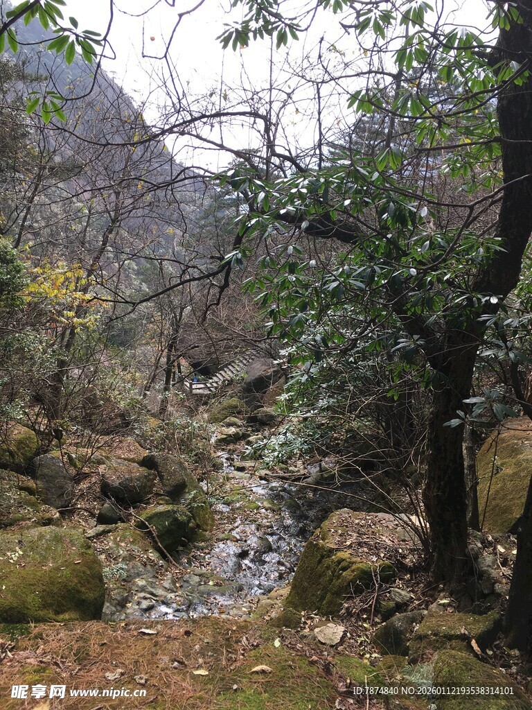 山间溪流 静谧自然之景