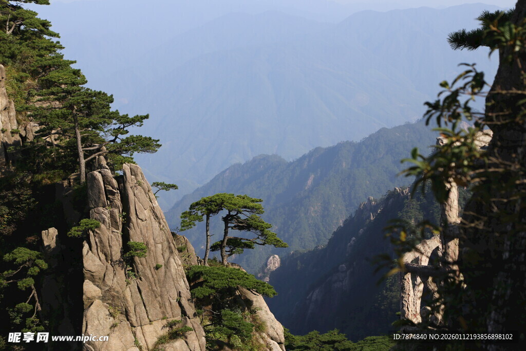 巍峨黄山奇峰与苍松景观