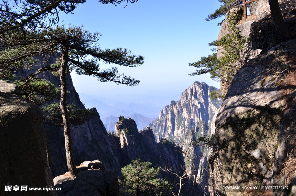 黄山奇峰与苍松景观