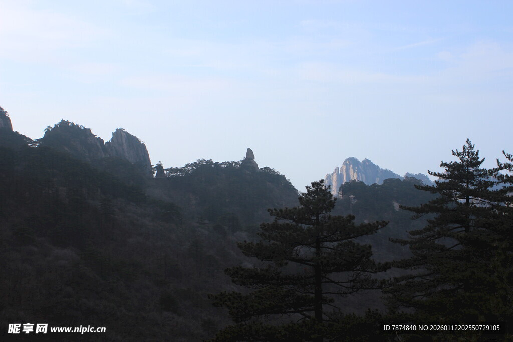 壮丽山景与挺拔树木