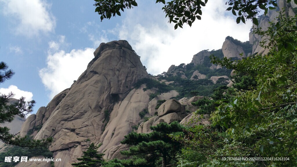 巍峨山峰与葱郁林木景观