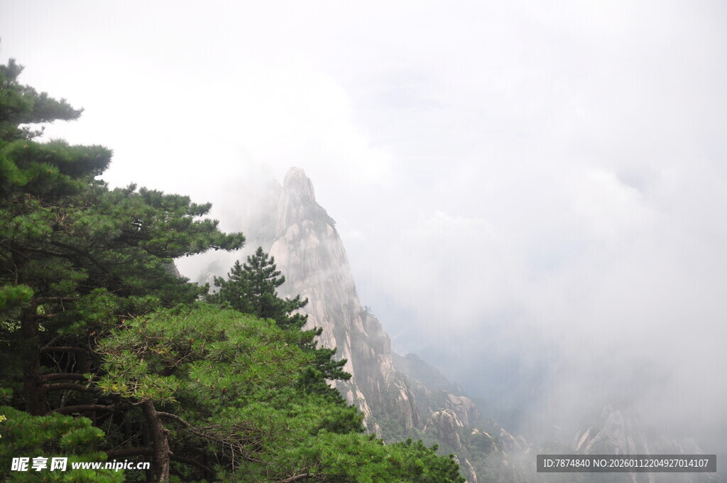 云雾缭绕的山林景致