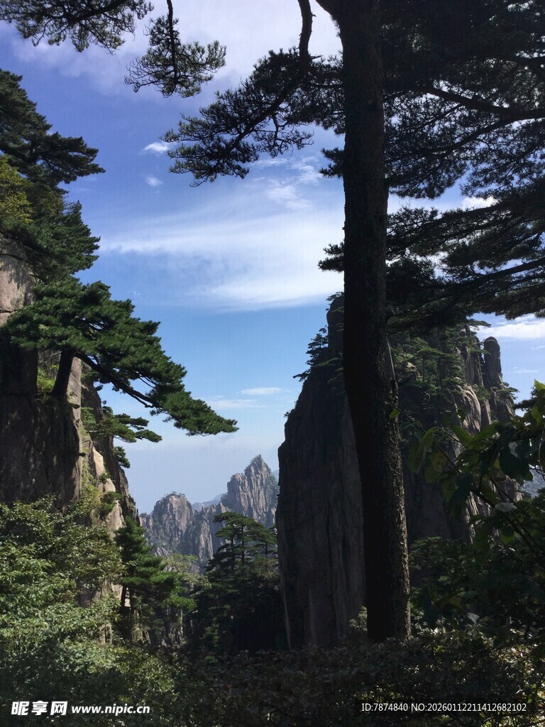黄山奇峰异松美景