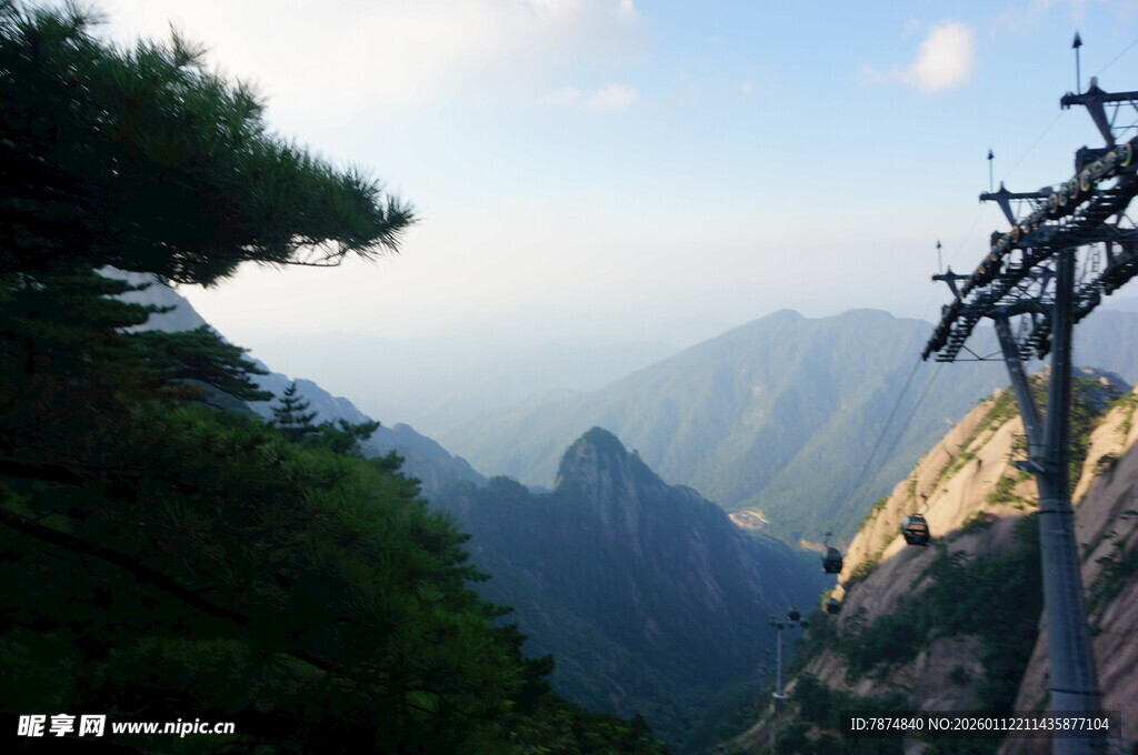 壮美山景中的挺拔树木