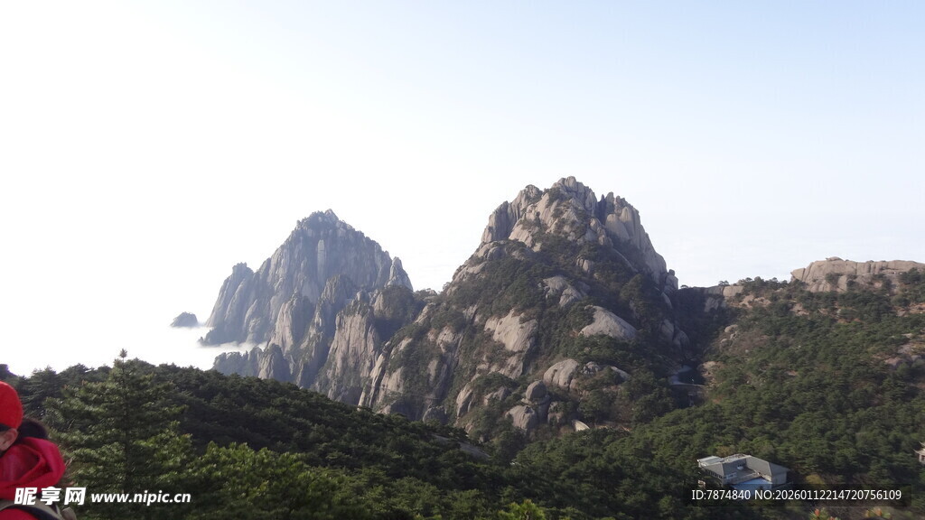 巍峨山峰与葱郁植被景观