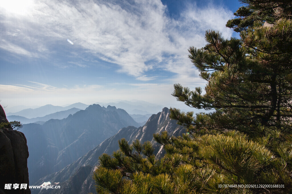 山间松景与远处山峦