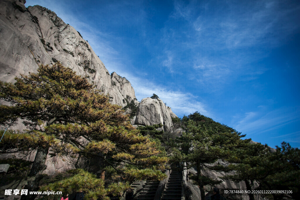 巍峨山峰与葱郁树木景观