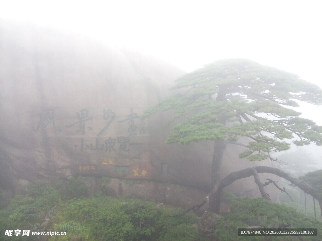 雾中峻岭孤松景