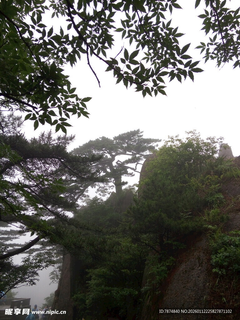 山林云雾间的绿意景致