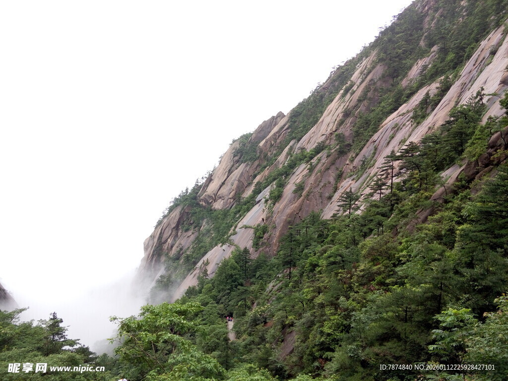 巍峨山峦间的葱郁景致