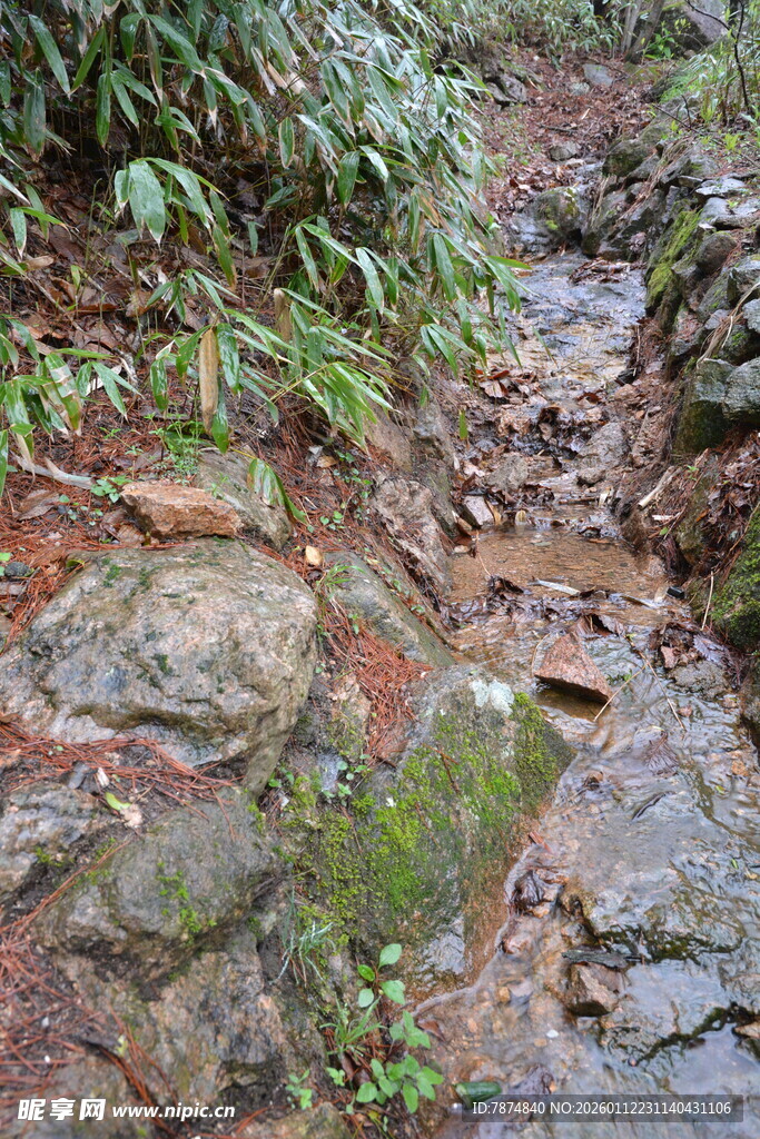 山间湿润小径 布满落叶