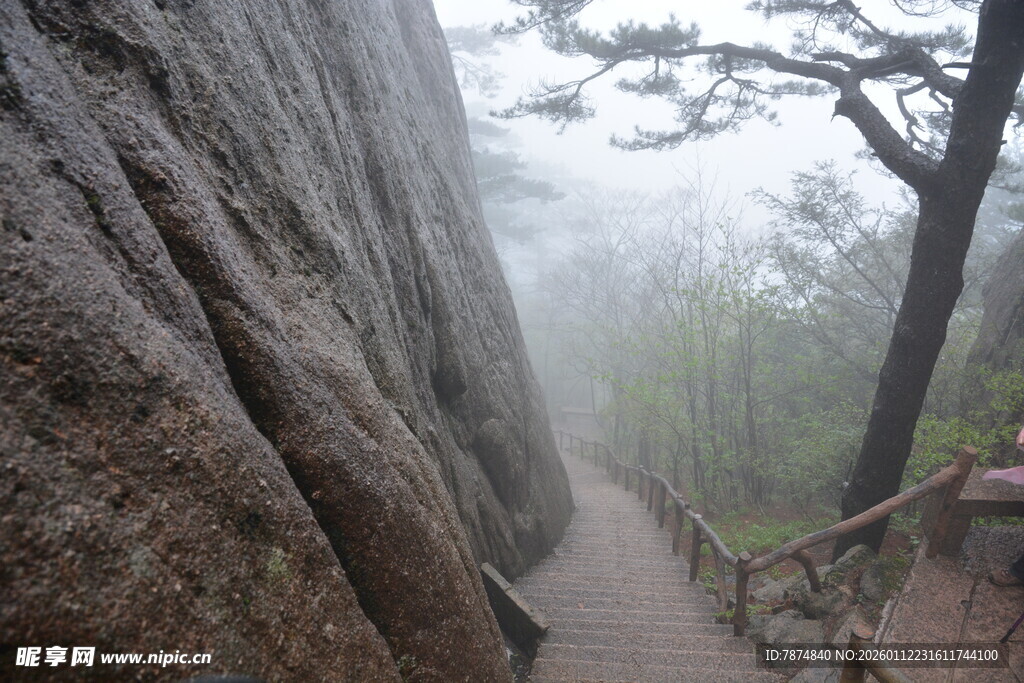 山间石径旁的葱郁树木