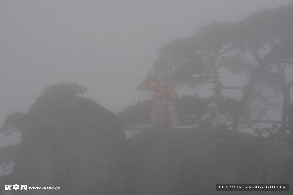 雾中朦胧的树木与建筑