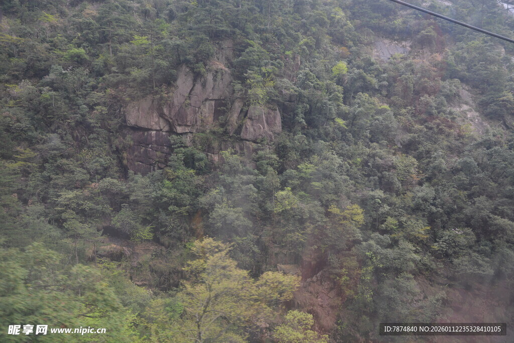 俯瞰茂密山林景观