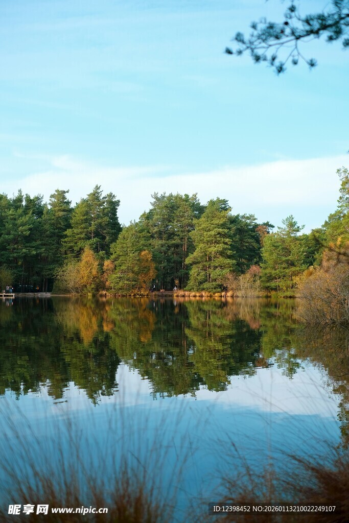 宁静湖畔森林倒影美景