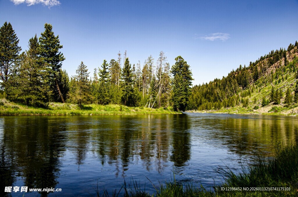 宁静湖畔的森林风光