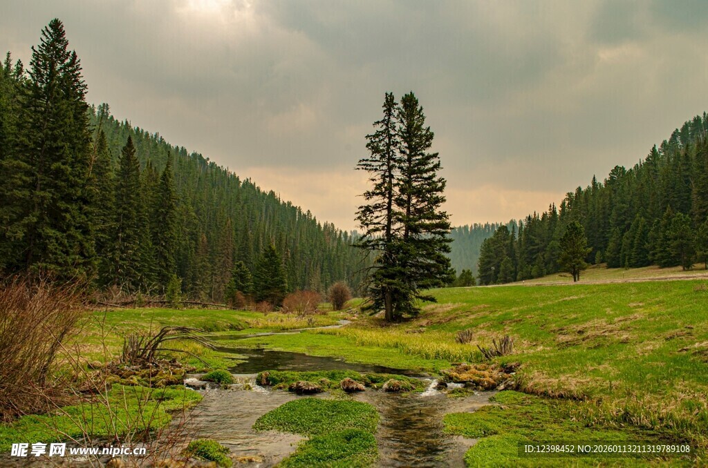 山间草地溪流景致