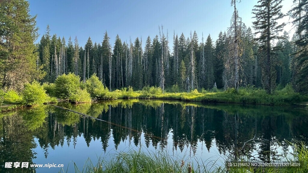 宁静森林中的清澈湖泊