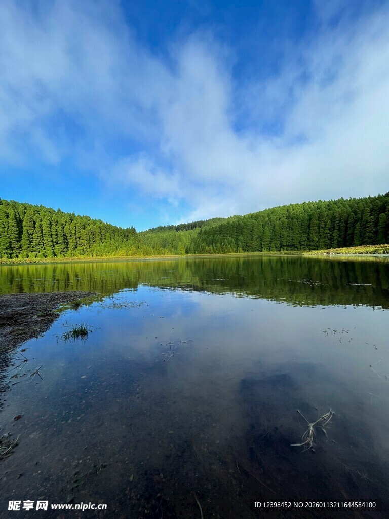 宁静湖景与葱郁山林