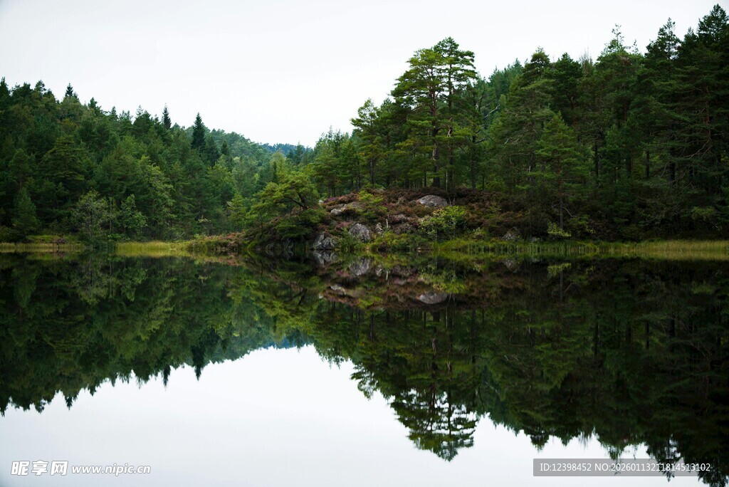 宁静森林中的静谧湖水