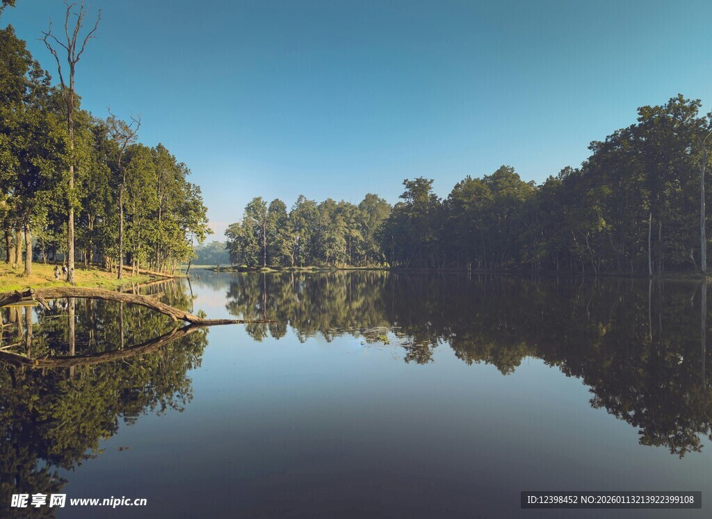宁静湖面与岸边树林倒影
