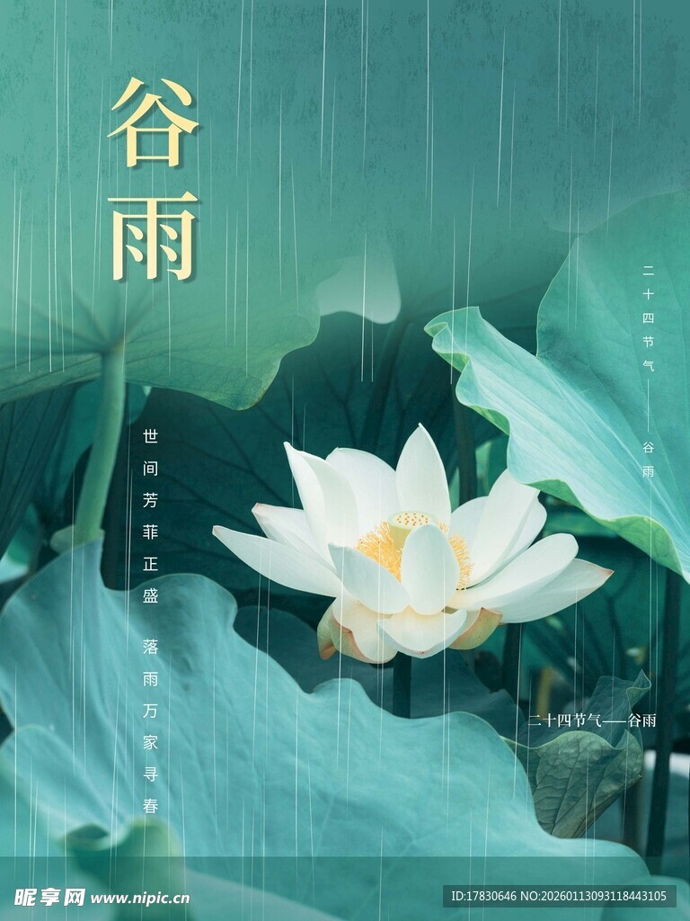 谷雨海报