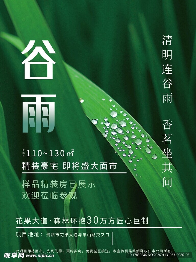 谷雨海报