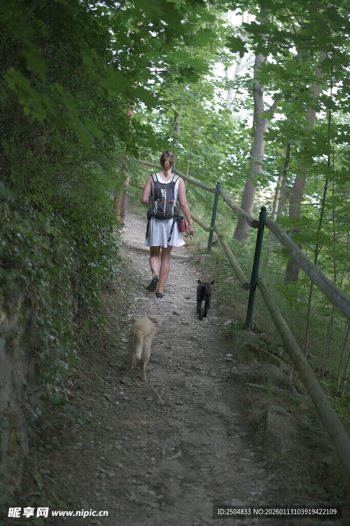女子林间小径遛狗