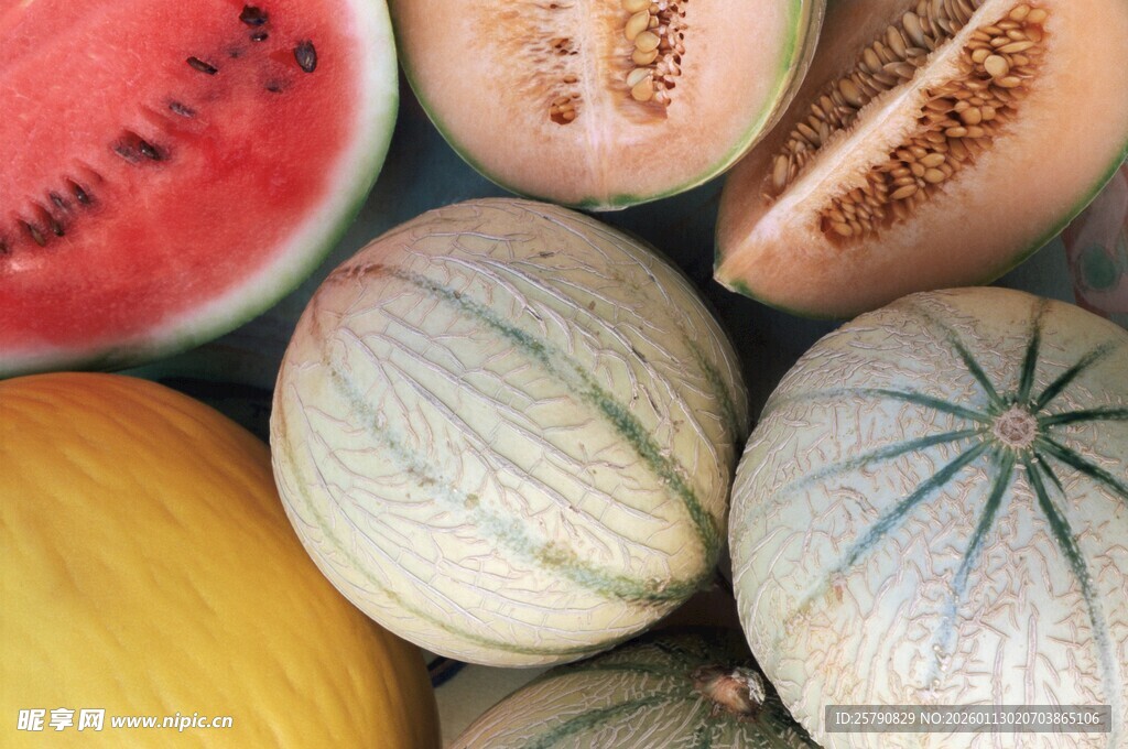 多样甜瓜与西瓜的组合