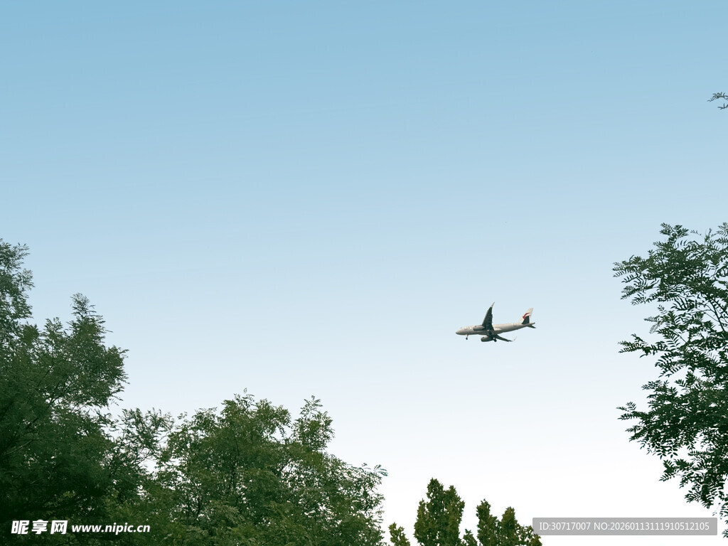 空中飞机飞过绿树上方