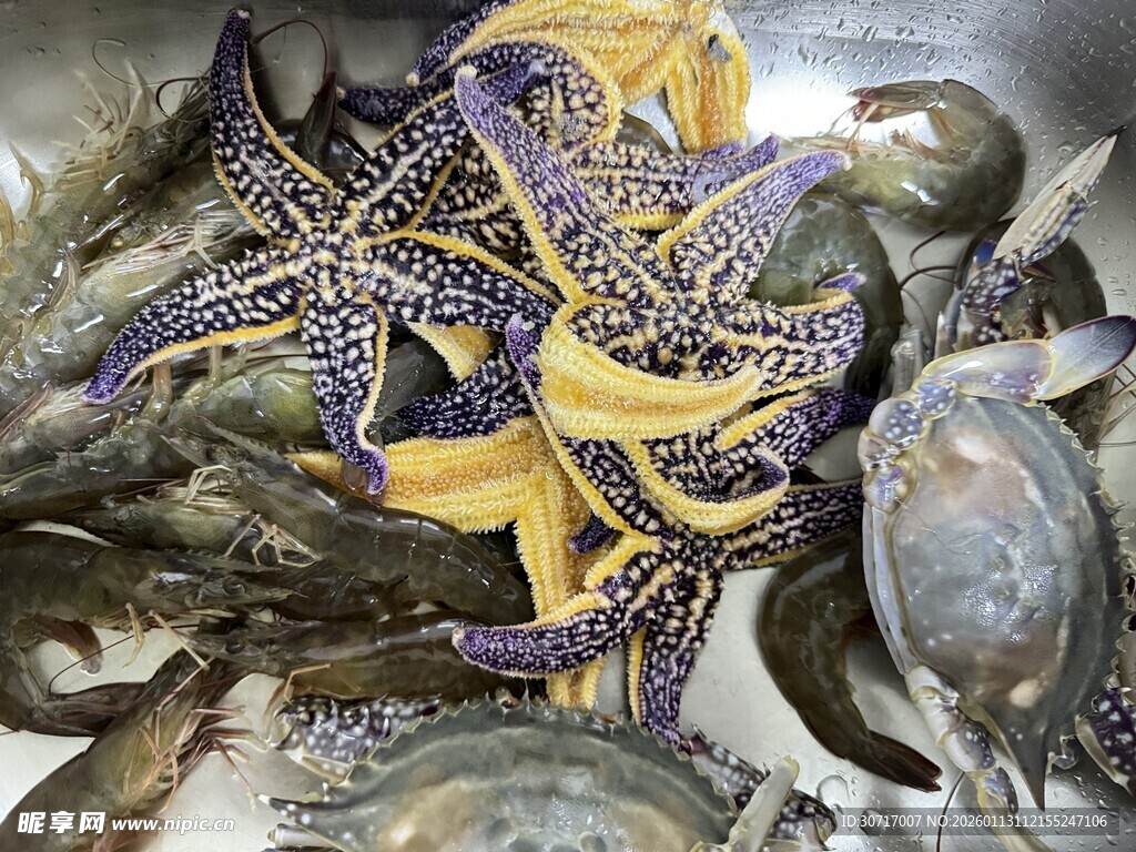 新鲜多样海鲜大集合