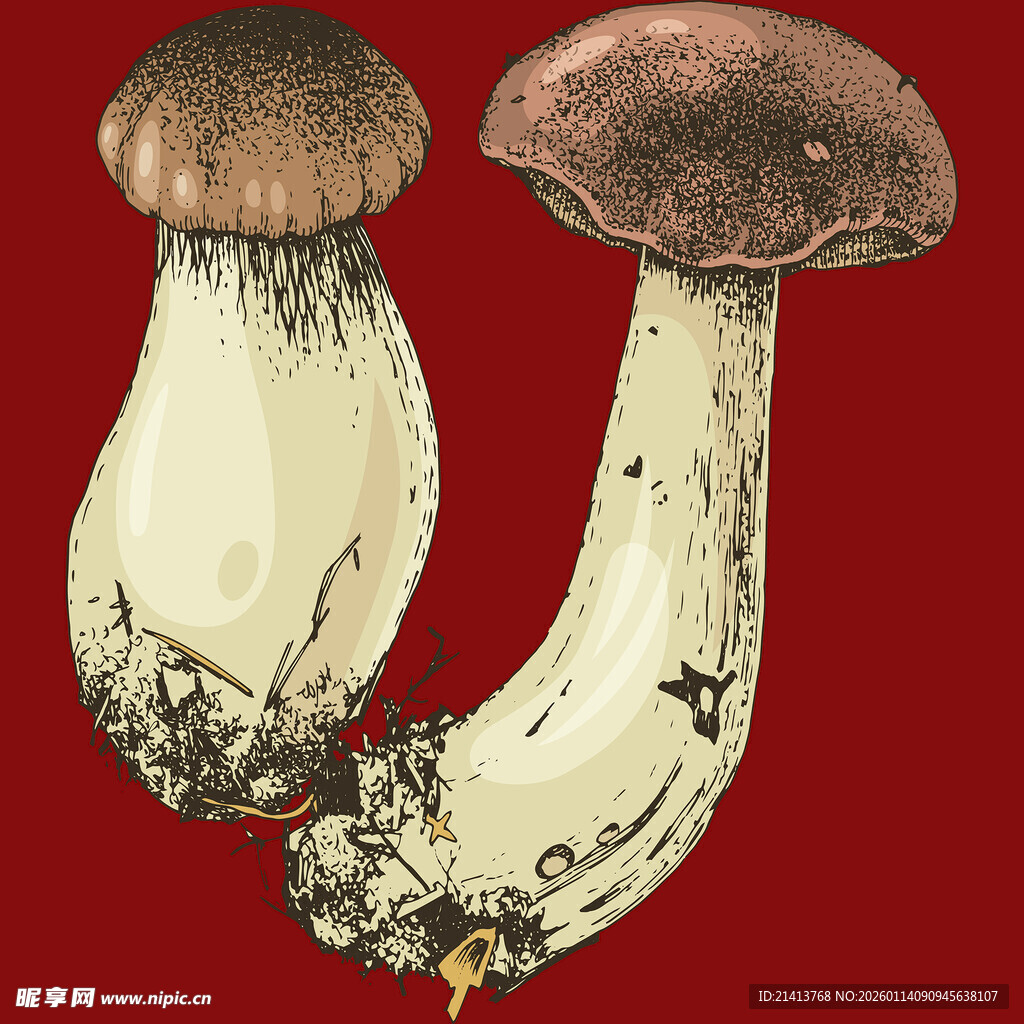 两株造型独特的蘑菇