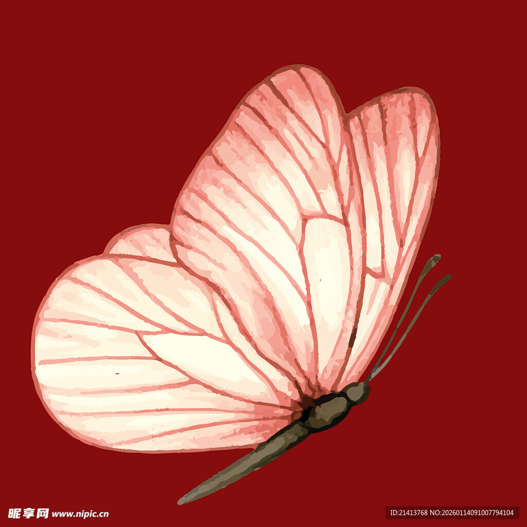 粉色蝴蝶插画
