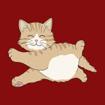 跳跃的可爱猫咪