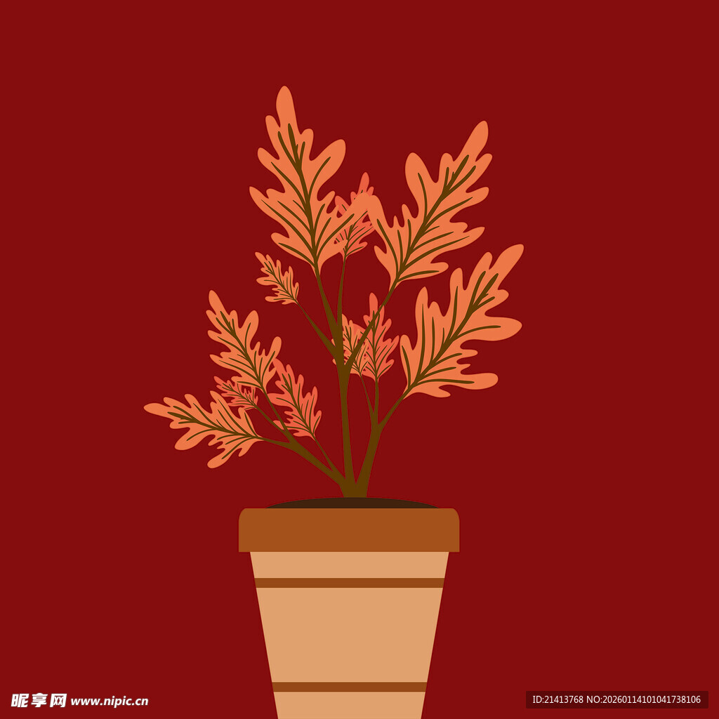 盆栽植物秋日色彩装点