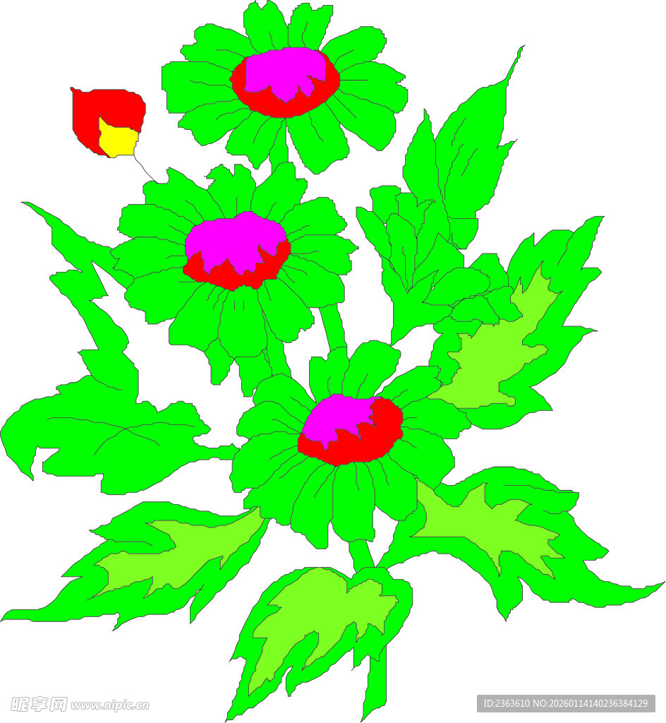 彩色花朵植物插画