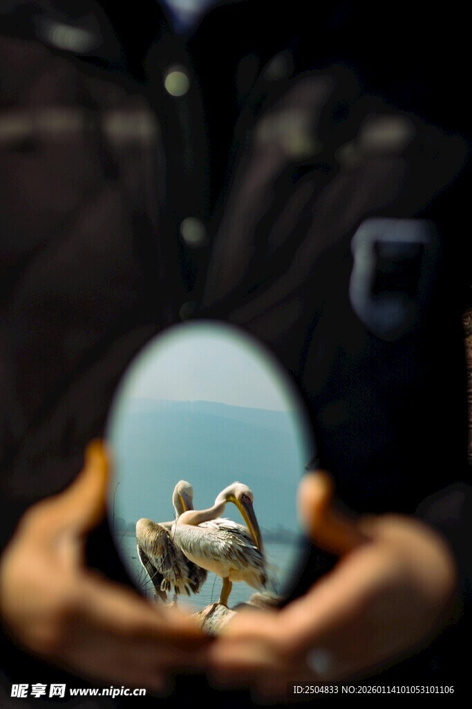 双手捧起的梦幻微观世界